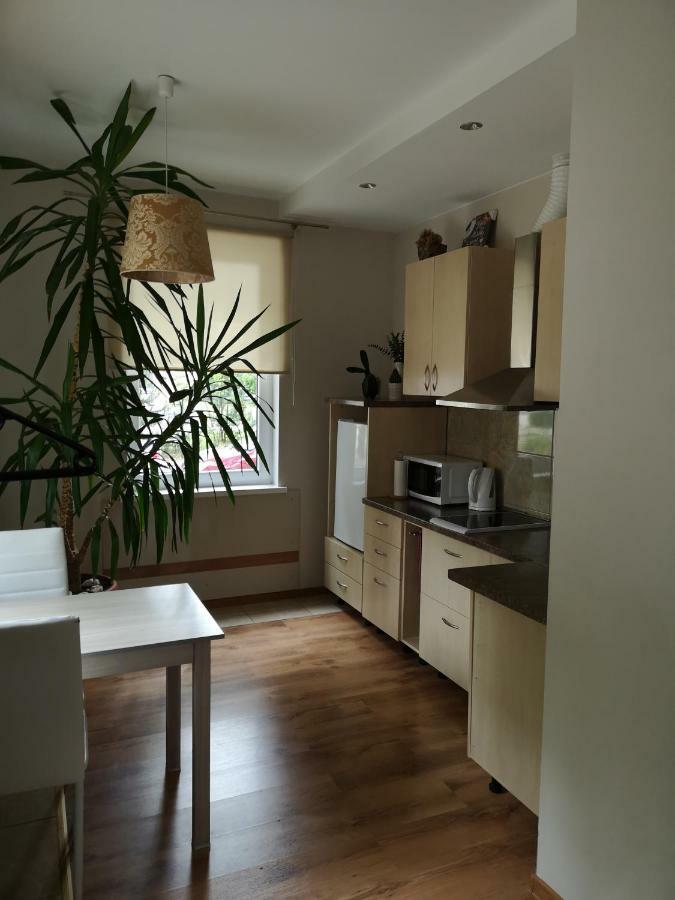 Apartamento Jaukus Butas Siauliu Miesto Centre Šiauliai Exterior foto